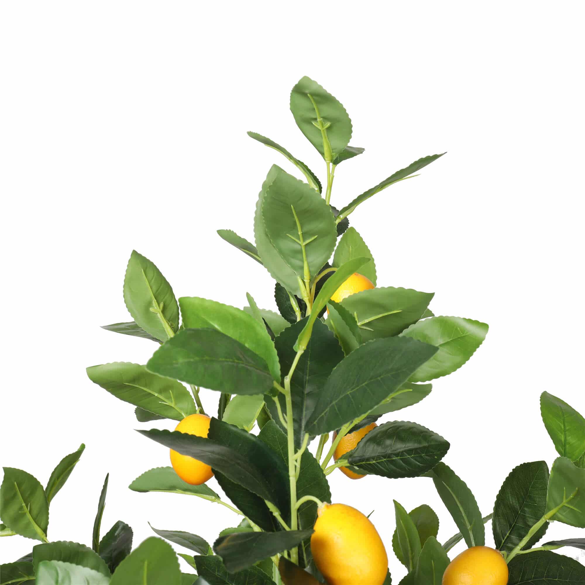 Artificial lemon tree with green leaves and yellow lemons on a white background