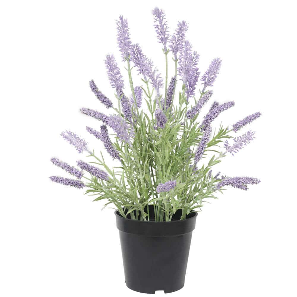 Artificial potted lavender plant by Faux Flora, 40cm tall, with vibrant purple lavender flowers in a realistic pot.