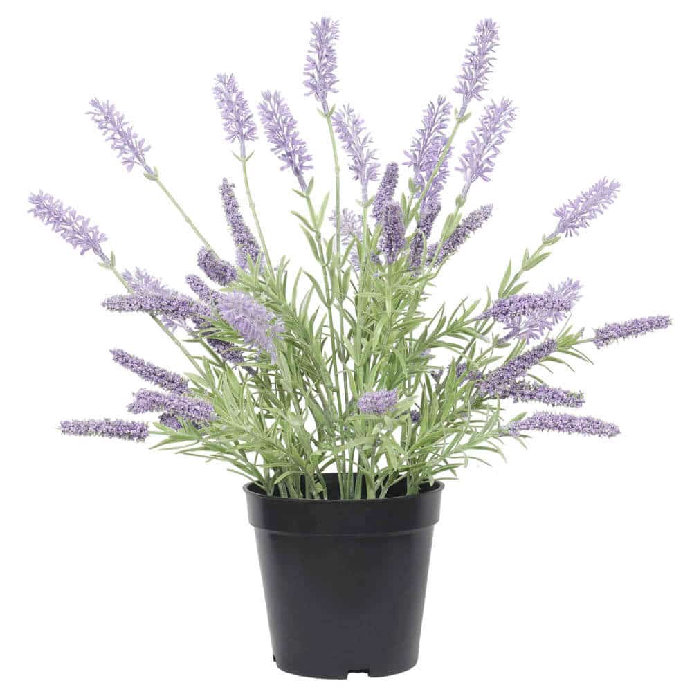 Artificial potted lavender plant by Faux Flora, 40cm tall, with vibrant purple lavender flowers and green foliage in a decorative pot.