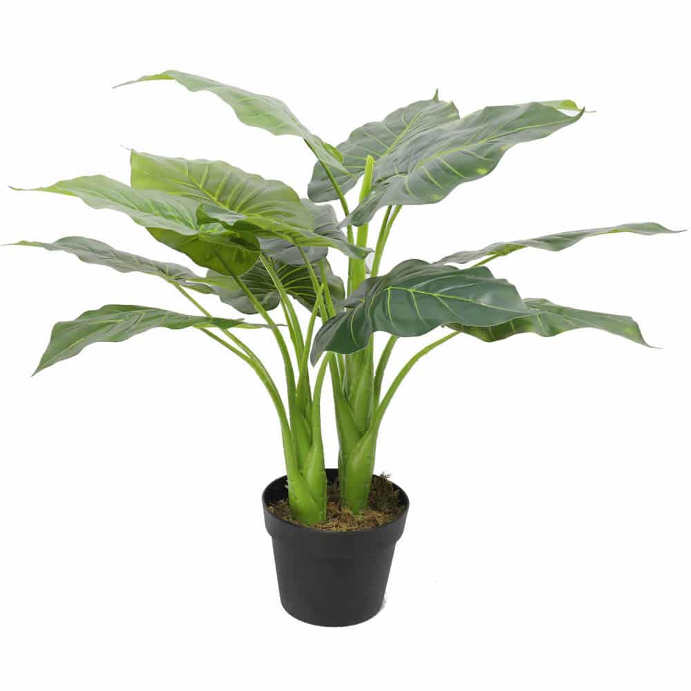 Artificial potted taro plant from Faux Flora, 70cm tall, featuring large elephant ear leaves in a decorative pot.