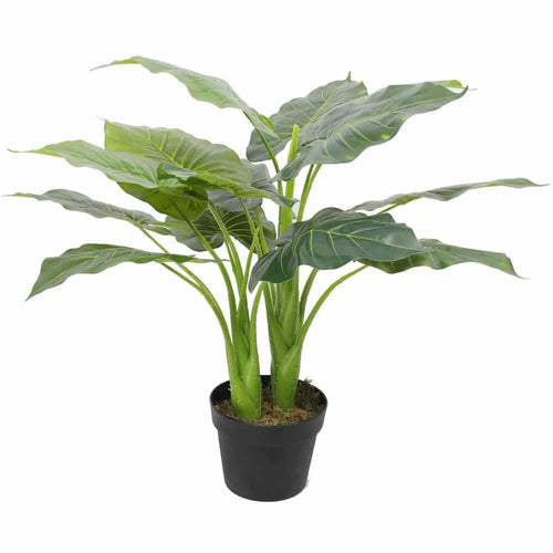Artificial potted taro plant from Faux Flora, 70cm tall, featuring large elephant ear leaves in a decorative pot.