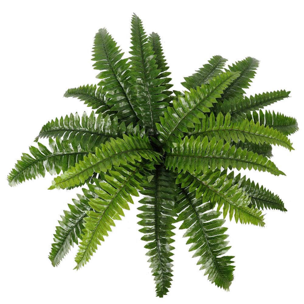 Artificial green fern leaf on a white background