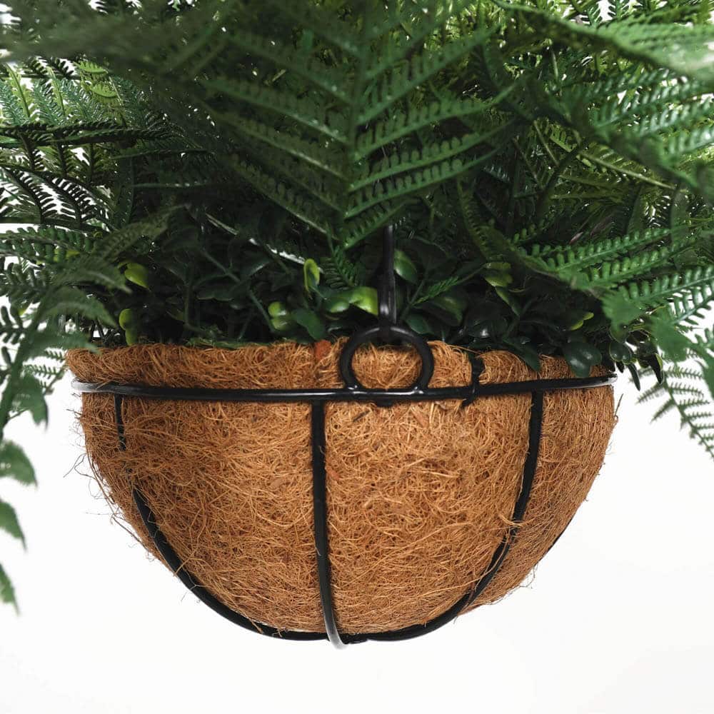 Coconut fiber hanging planter with a plant against a white background