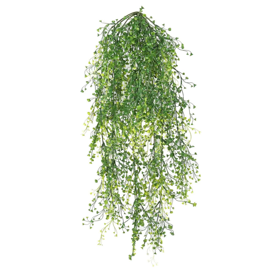 Hanging green plant on a white background