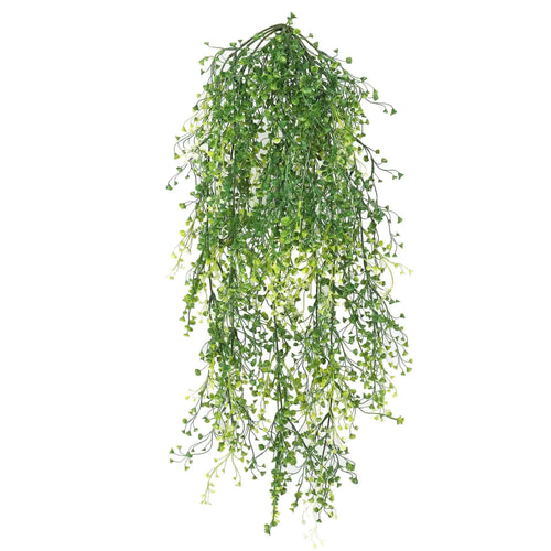 Hanging green plant on a white background