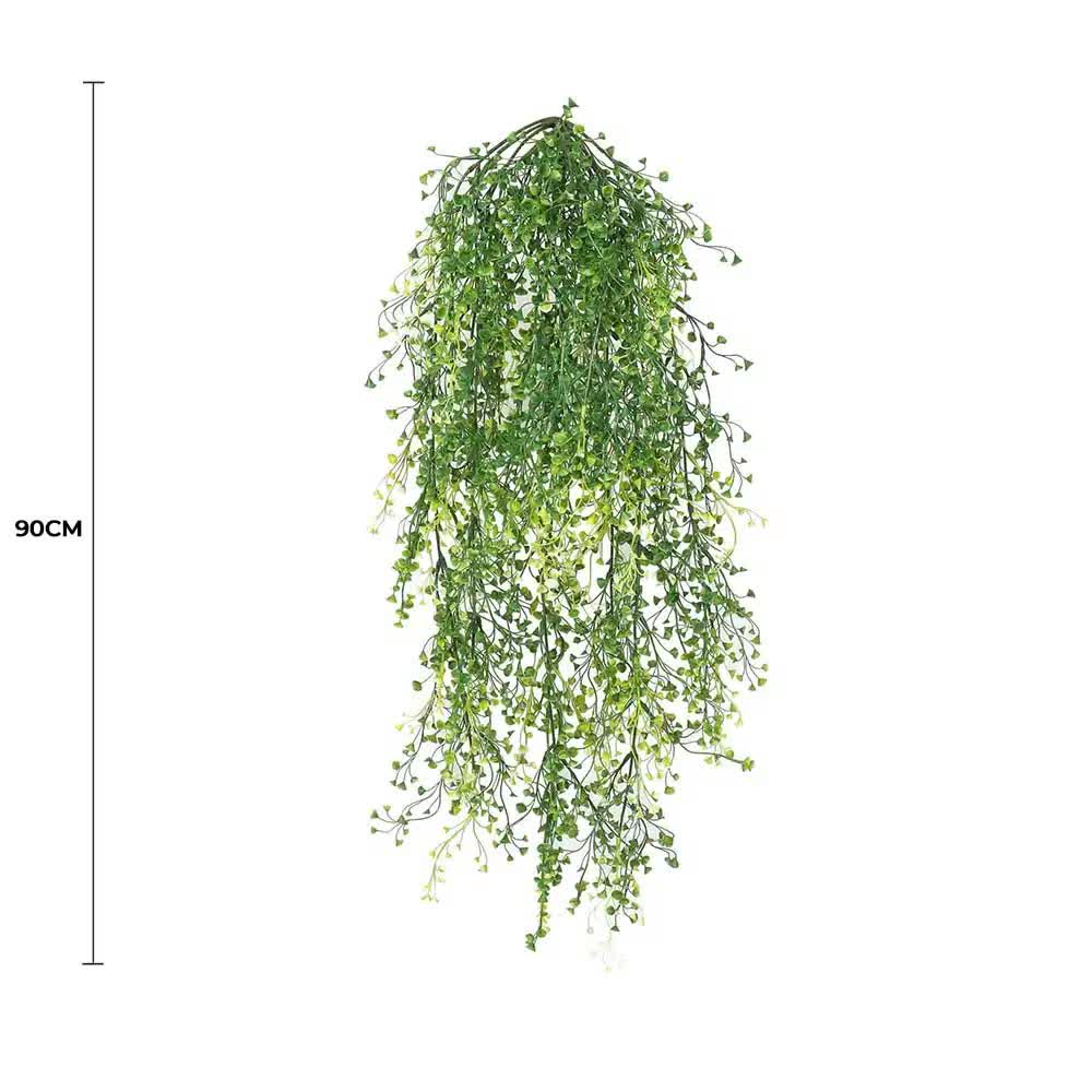 Hanging green plant with a measurement label on a white background