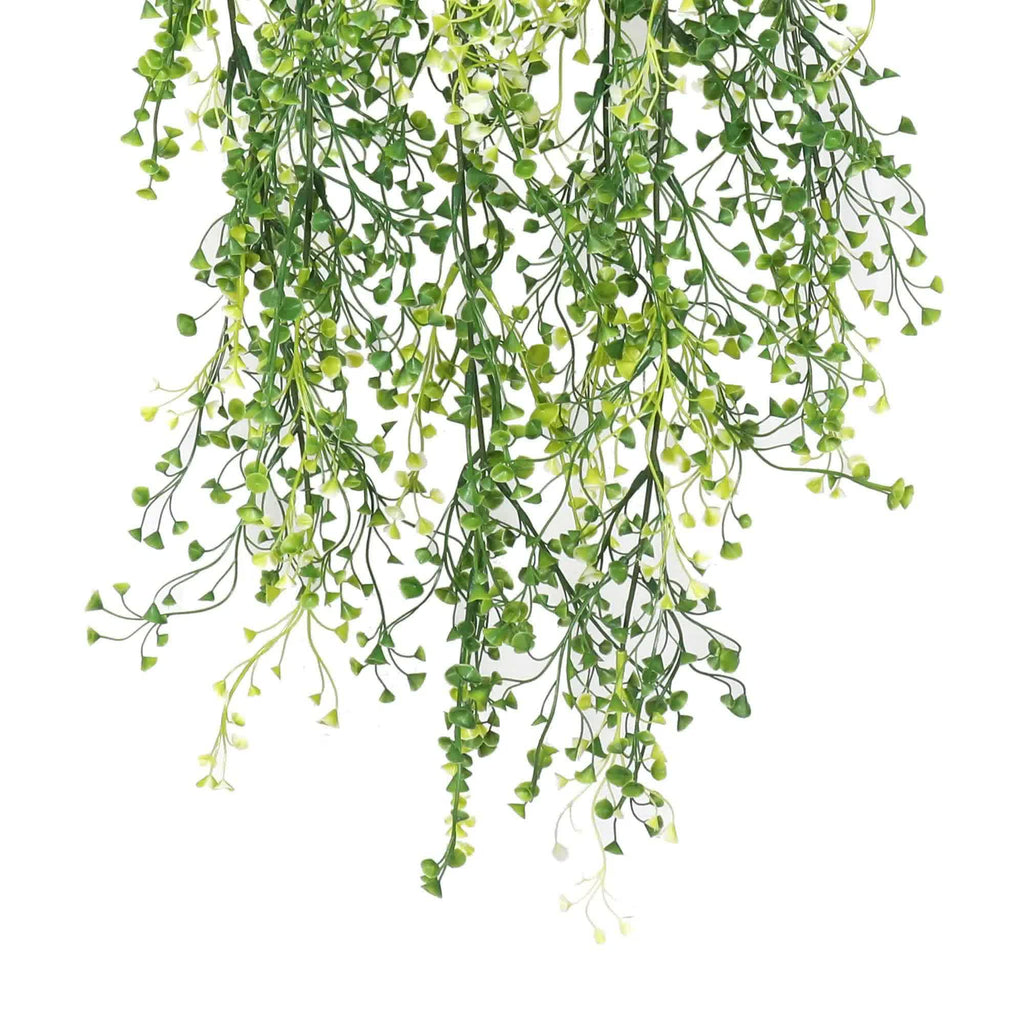 Artificial hanging greenery on a white background