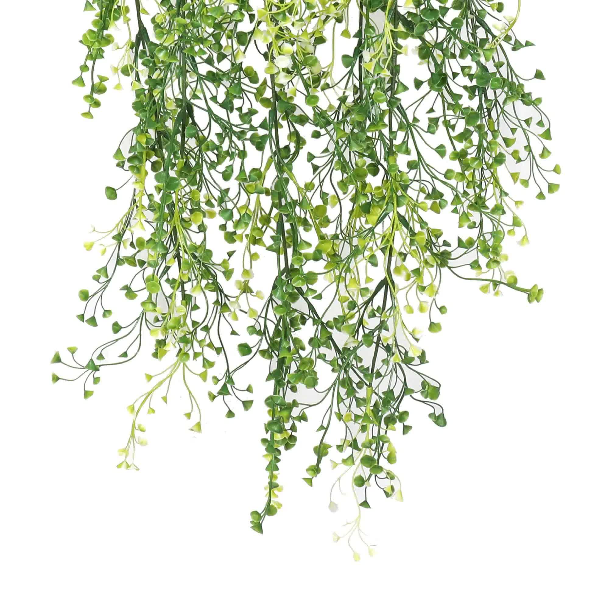 Artificial hanging greenery on a white background