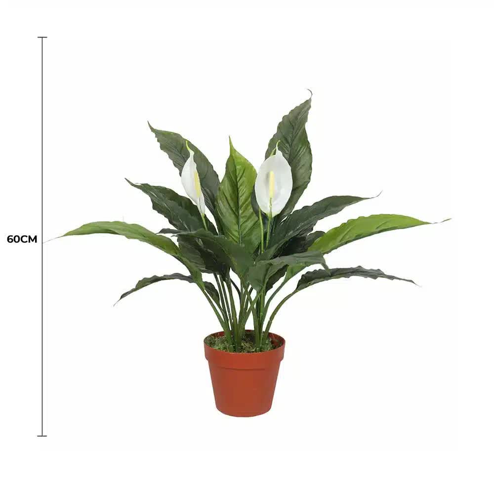 Real-Touch Potted White Peace Lily 60cm