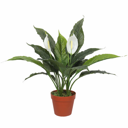 Potted Artificial Spathiphyllum Peace Lily Plant with White Petals 60cm