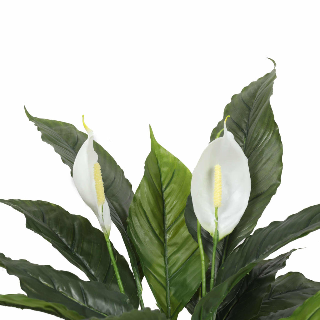 Real-Touch Potted White Peace Lily 60cm