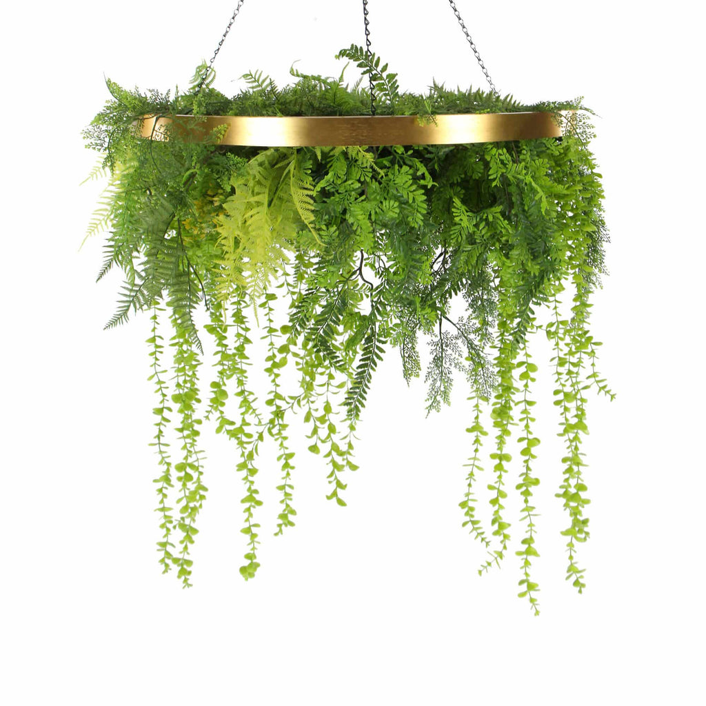 Hanging green fern plant with gold metal frame on a white background