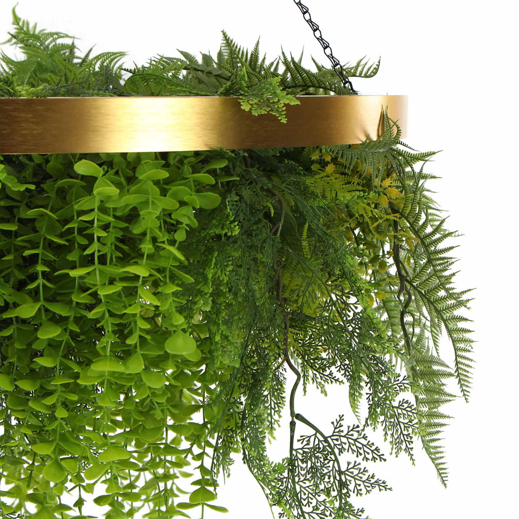 Hanging plant with a gold metal frame on a white background