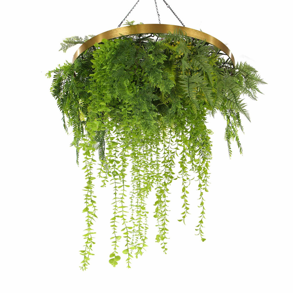 Hanging green plant with gold circular frame on a white background