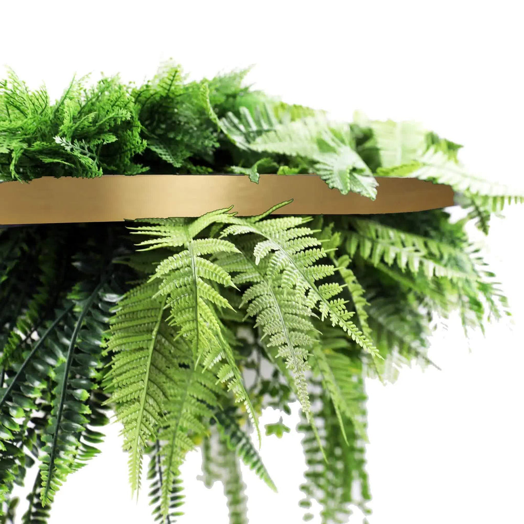 Fern plant with a gold rim on a white background