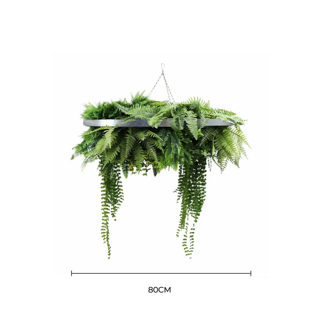 Hanging green fern plant with a white background