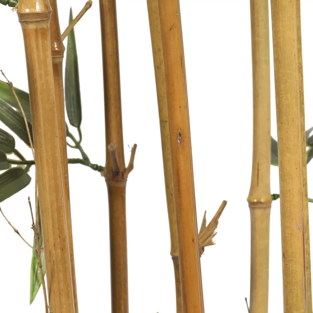 Bamboo stalks with green leaves on a white background