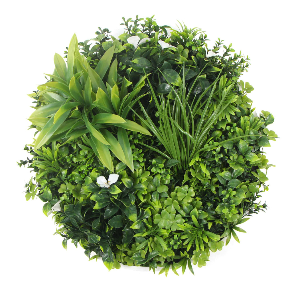 Set of 2 flowering white and green wall discs with six flowering stems, 50cm tall, ideal for artificial wall plants by Faux Flora.