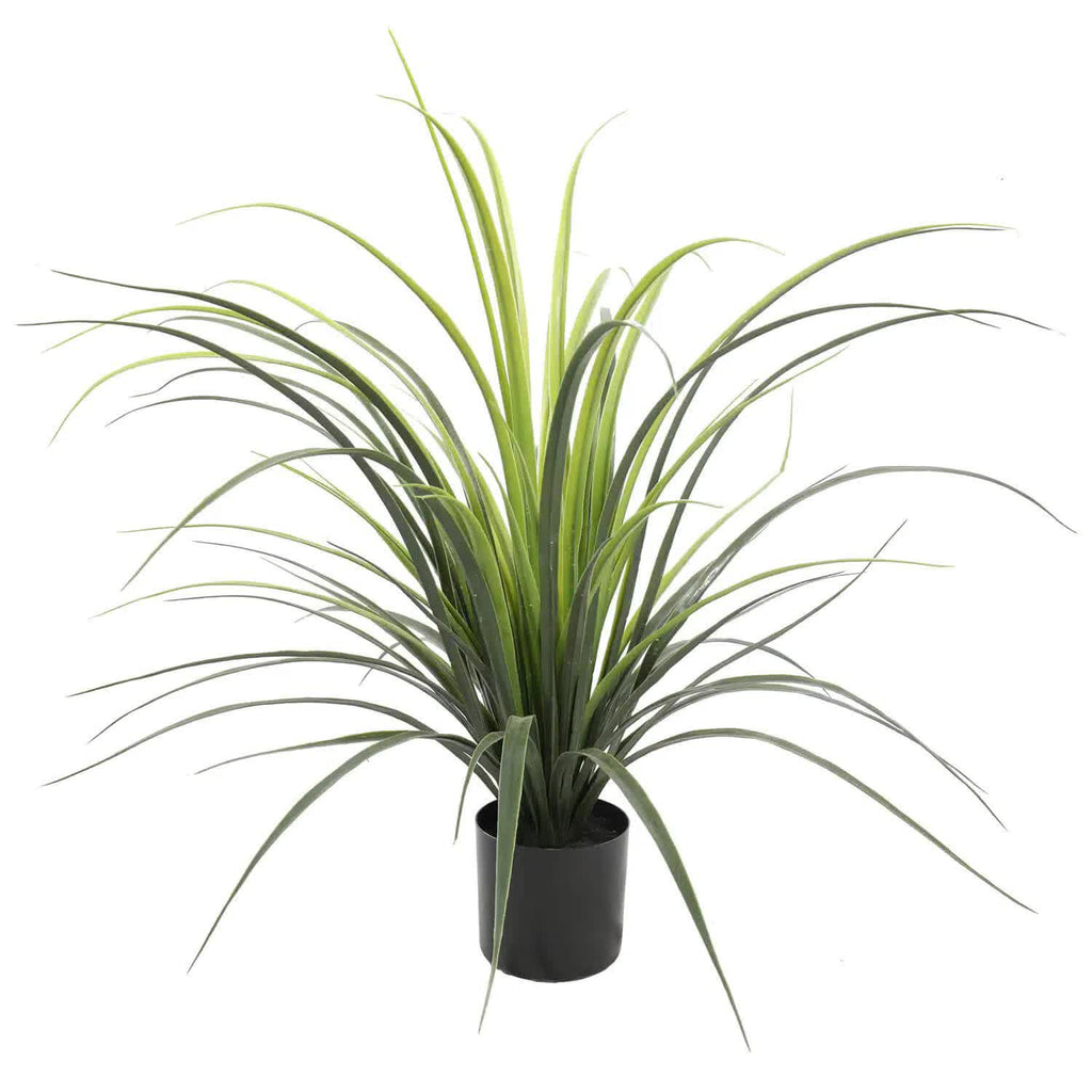 Artificial long Yucca grass in a pot, UV resistant, 75cm tall, ideal for home and garden decor by Faux Flora.