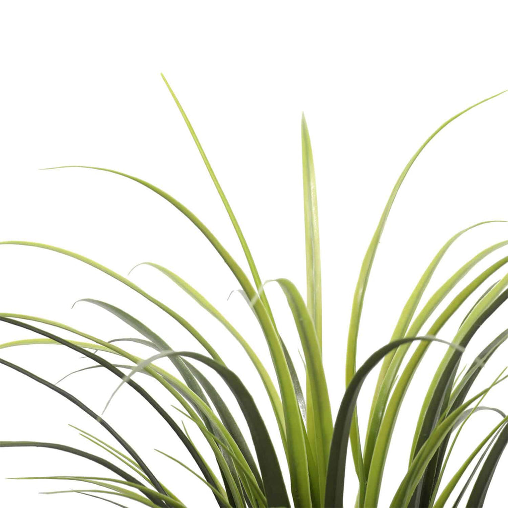 Potted artificial long Yucca grass plant by Faux Flora, UV resistant, 75cm tall, suitable for home and garden decor.