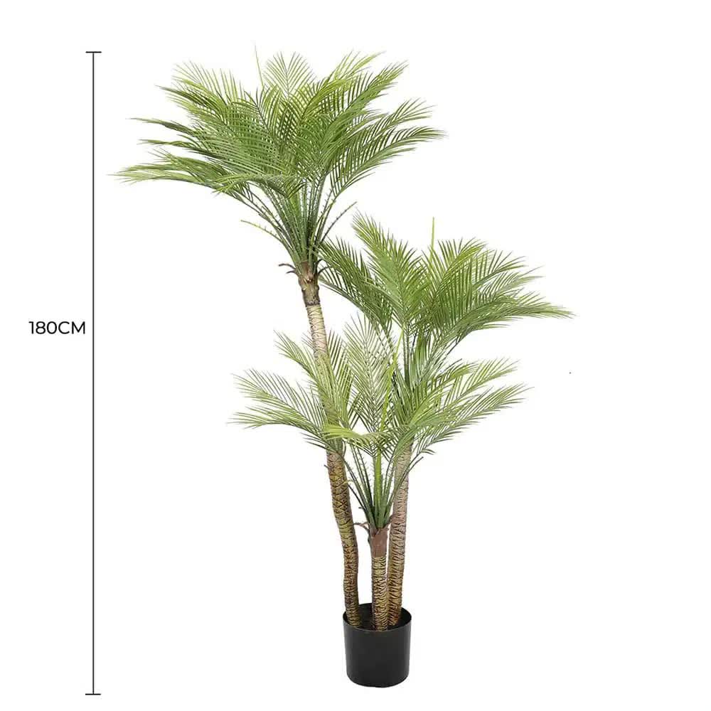 Potted palm tree with dimensions on a white background