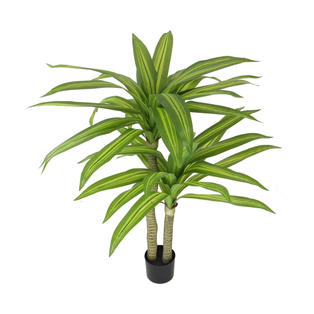 Potted plant with green leaves on a white background