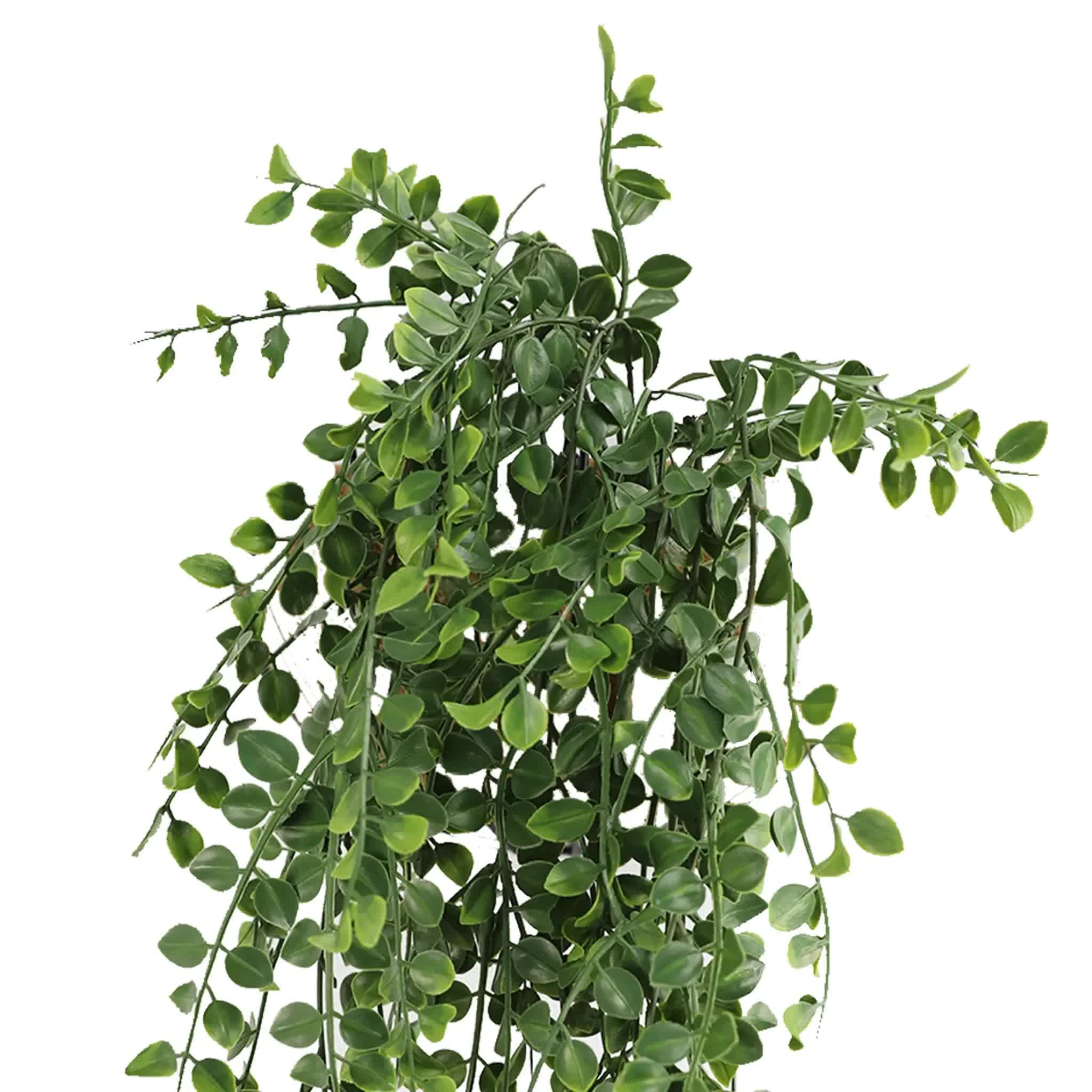 Artificial dark green hanging pearl garland bush by Faux Flora, UV resistant and fire rated, 79cm for home and garden decor.