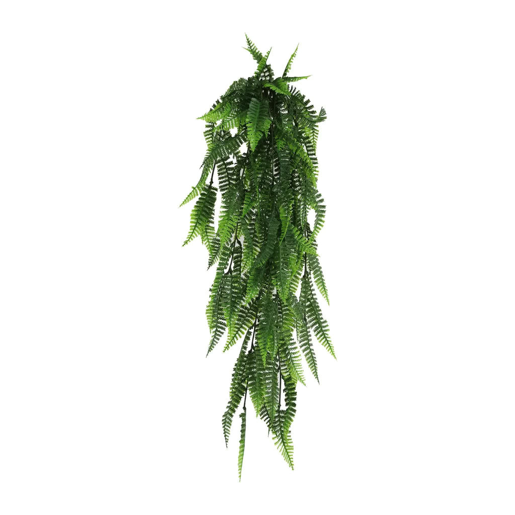 Artificial hanging fern plant on a white background
