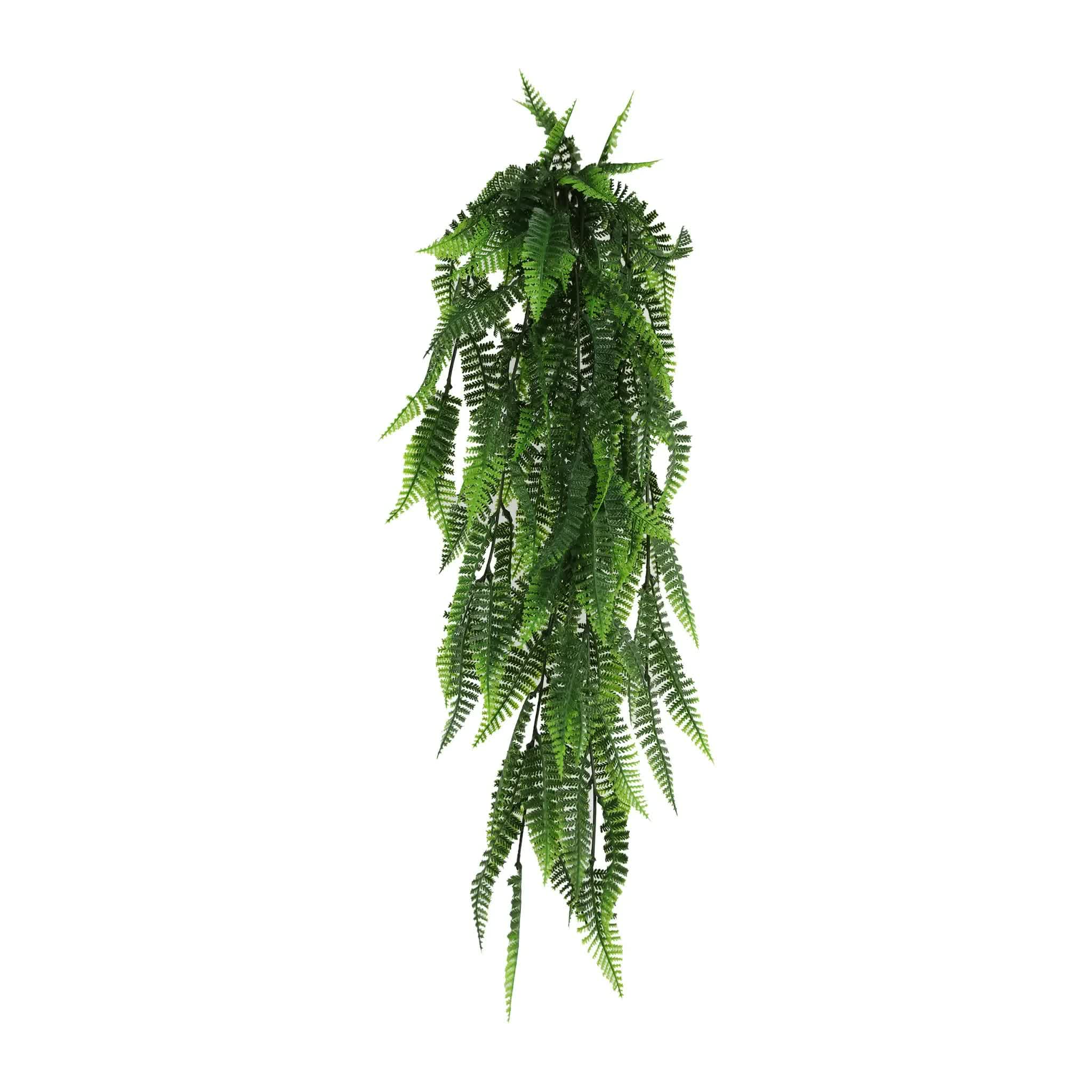 Artificial hanging fern plant on a white background