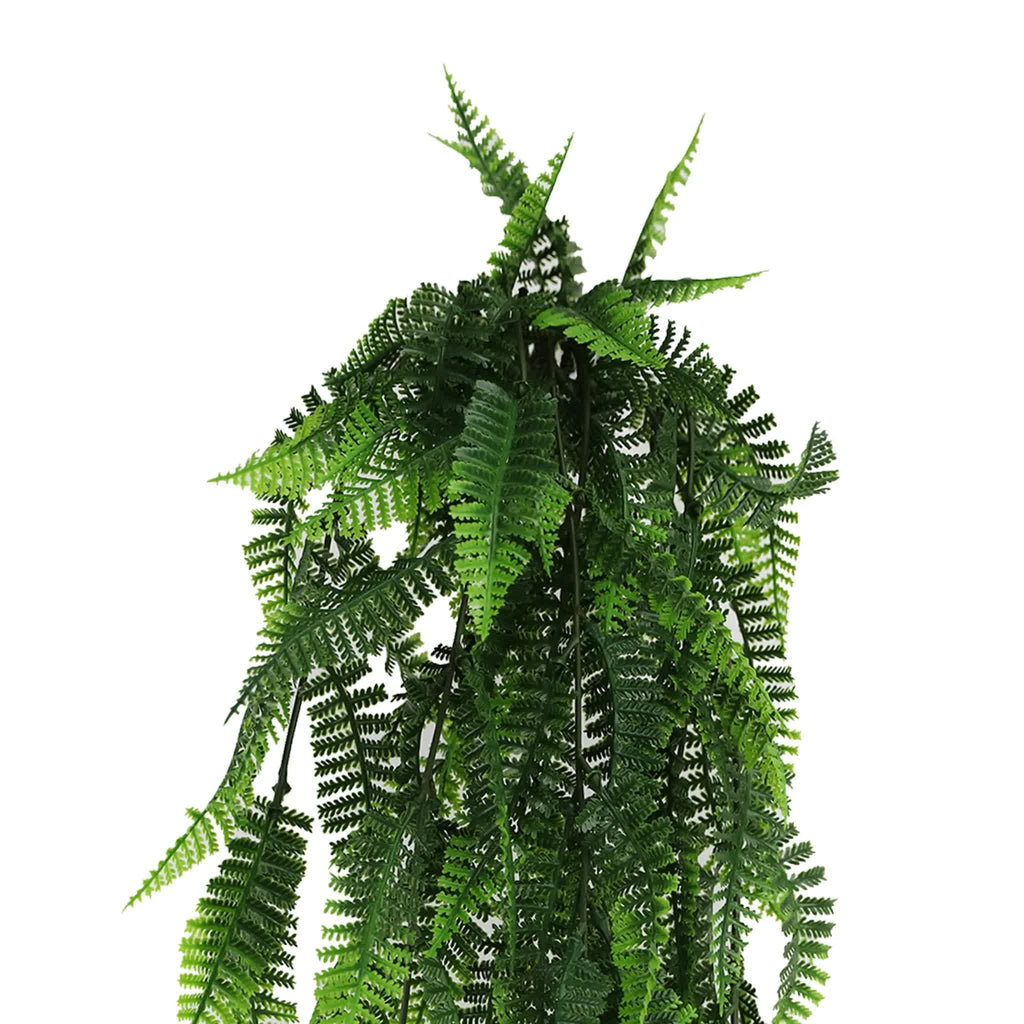 Artificial hanging fern plant on a white background