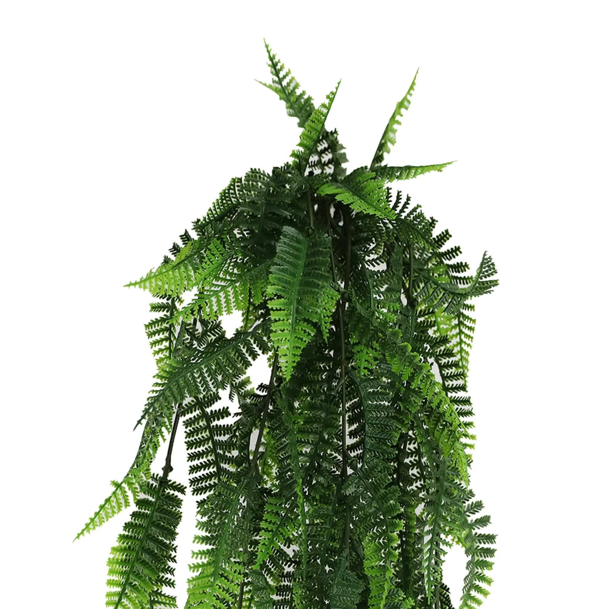 Artificial hanging fern plant on a white background