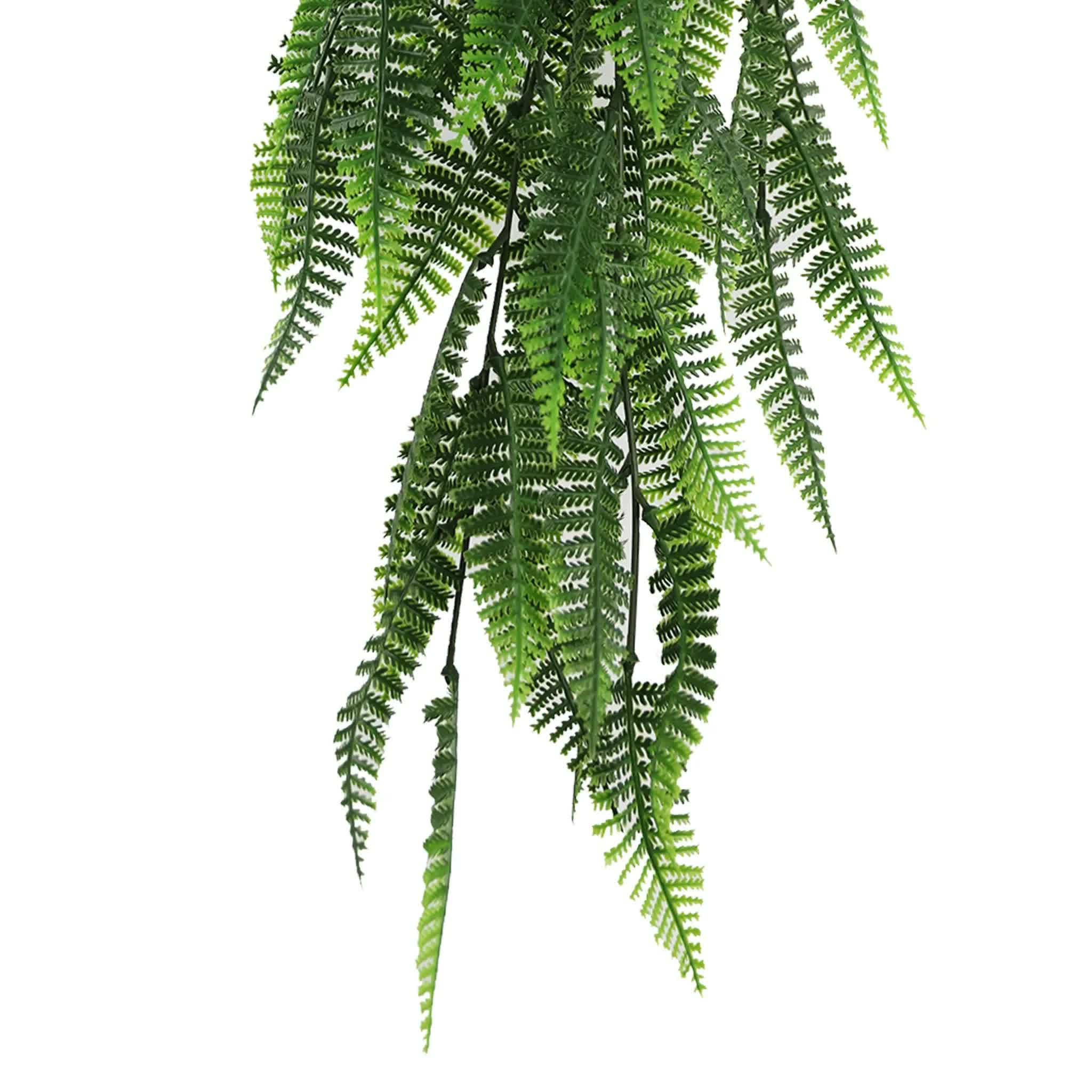 Artificial fern leaves on a white background