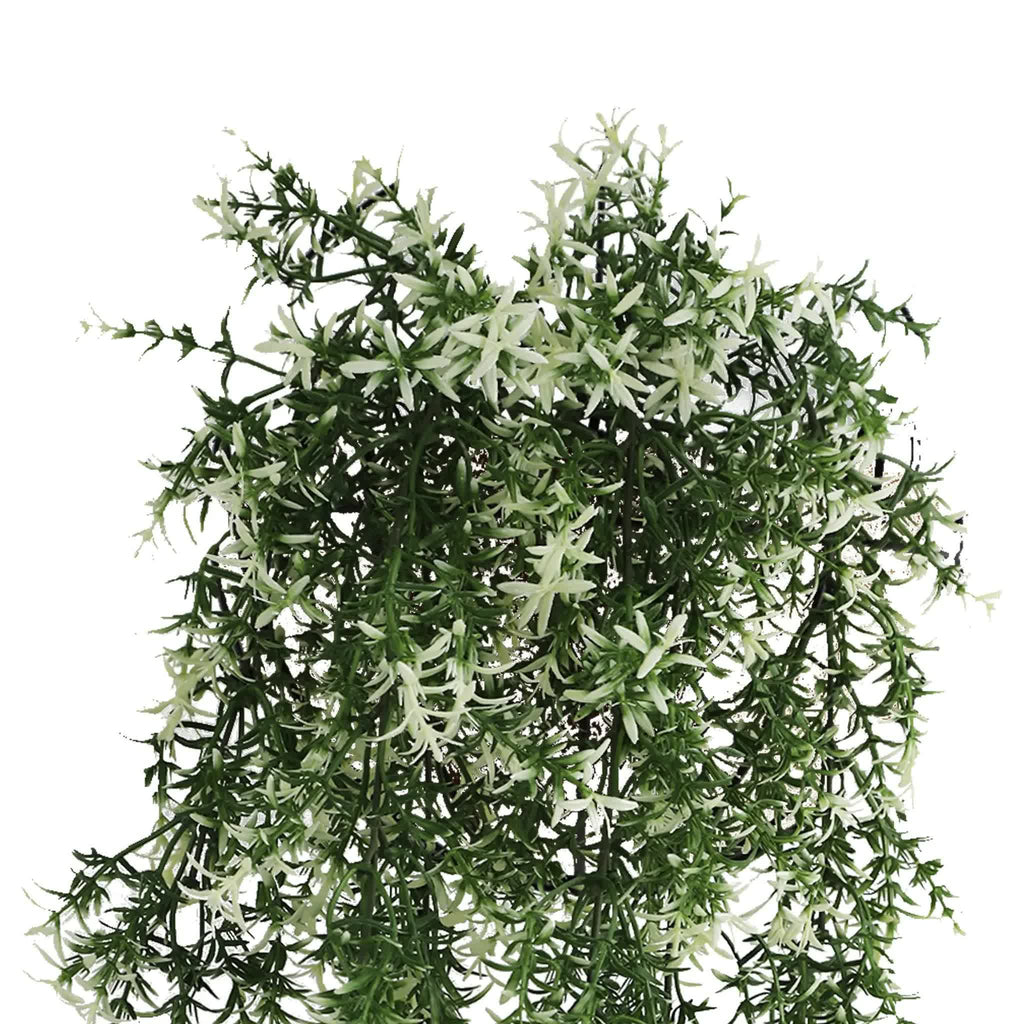Artificial greenery wreath on a white background