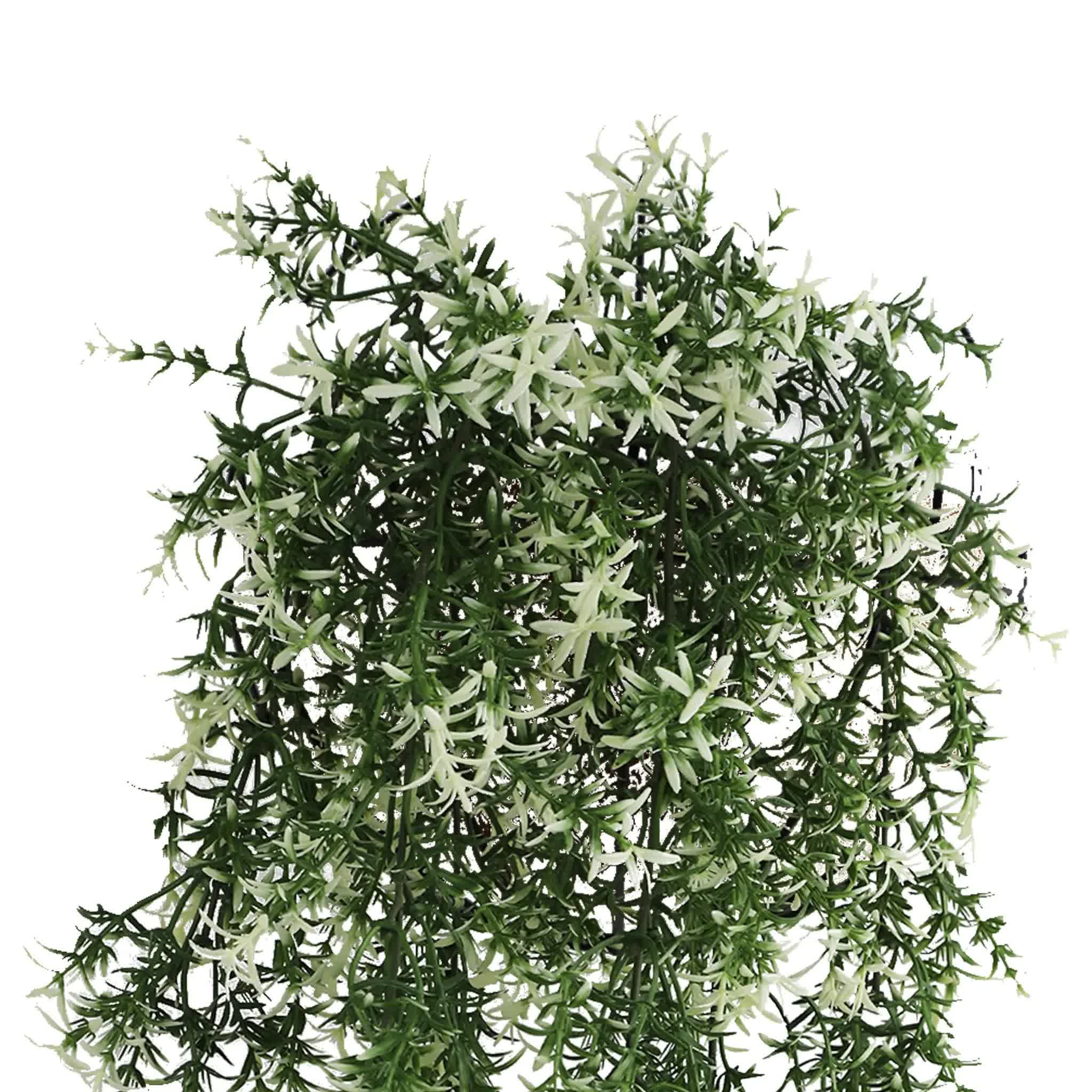 Artificial greenery wreath on a white background