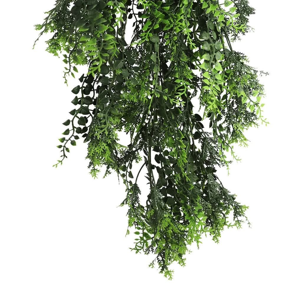 Artificial hanging greenery on a white background