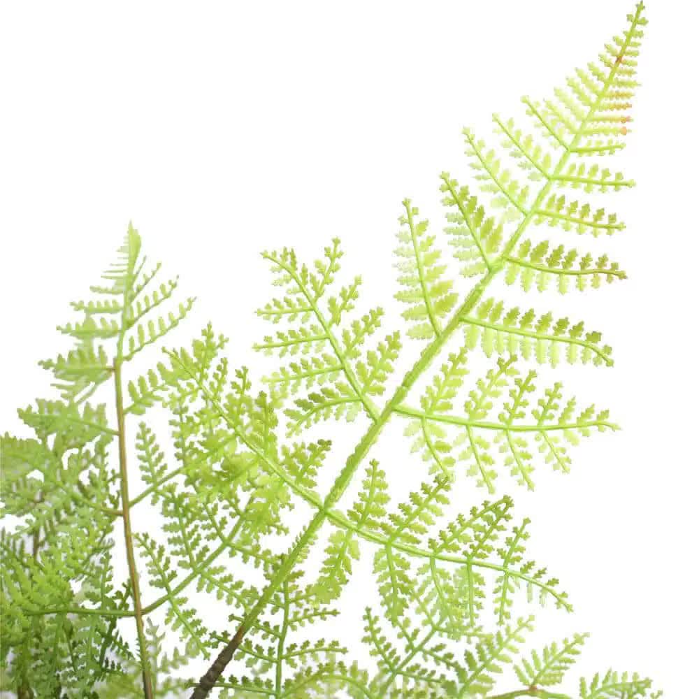 Faux Flora 90cm faux natural fern tree in a pot, ideal for home and garden decor, realistic artificial potted plant.