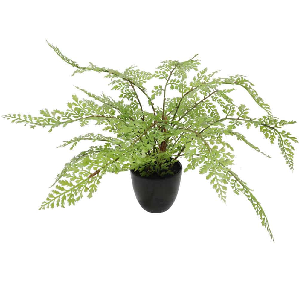 Small potted fern plant by Faux Flora, 35cm tall, artificial greenery in a black pot for home and garden decor.