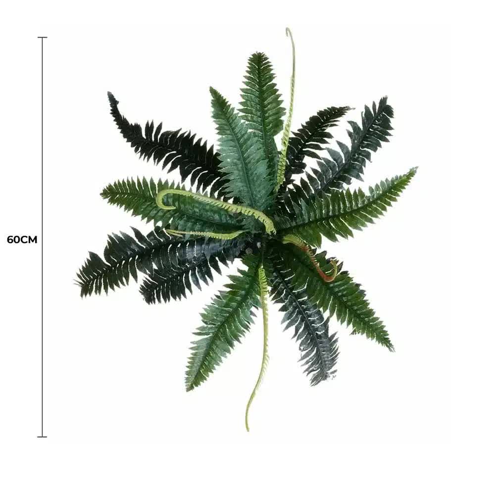 Boston Fern (UV Resistant) 60cm