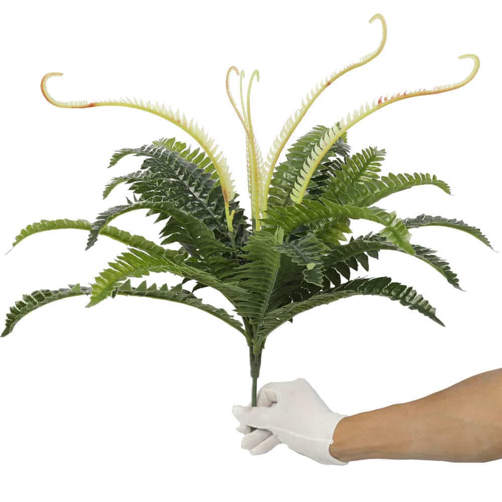 Boston Fern (UV Resistant) 60cm