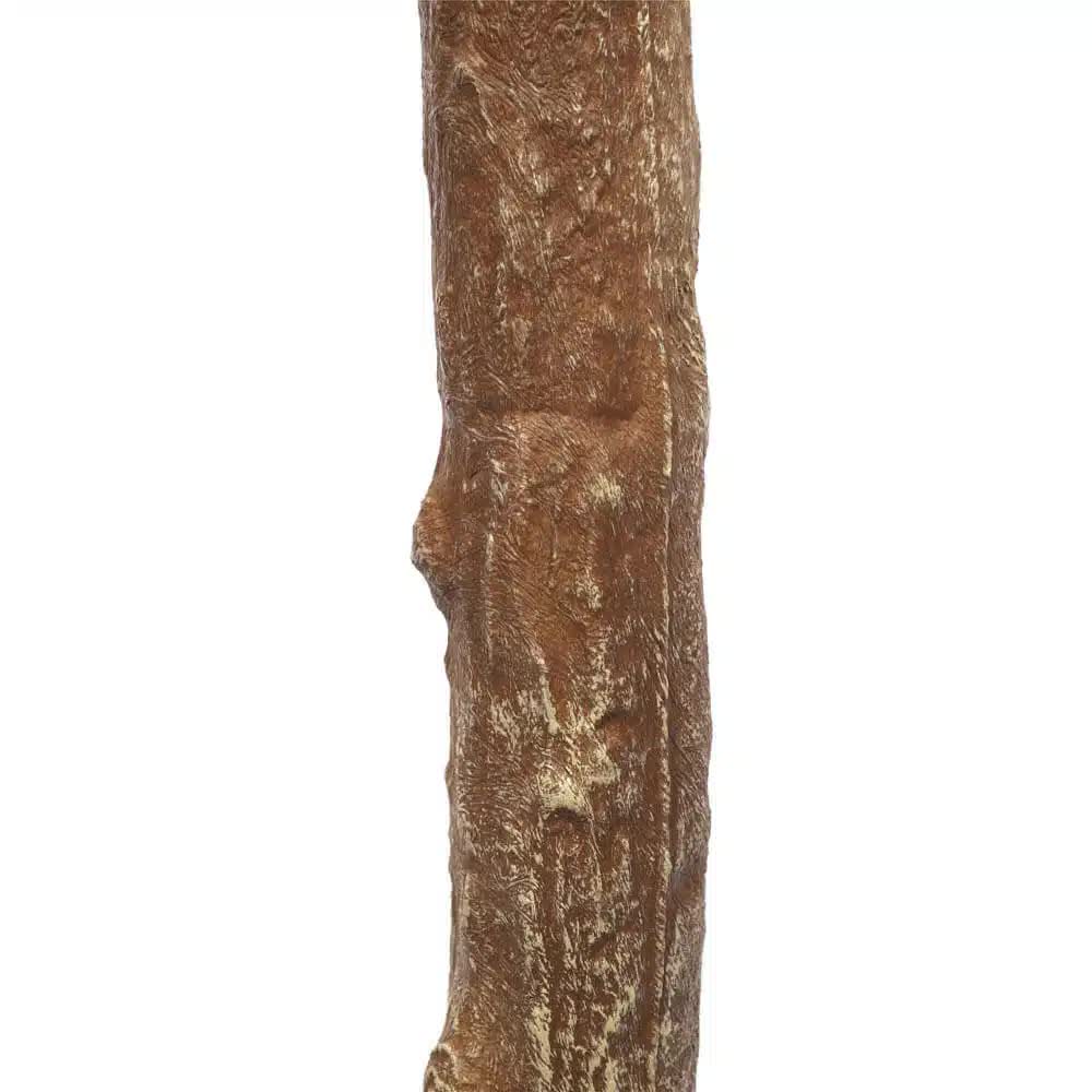 Brown branch on a white background
