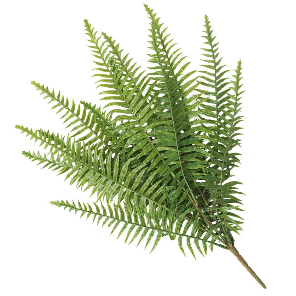 Lady Fern Stem (UV Resistant) 50cm