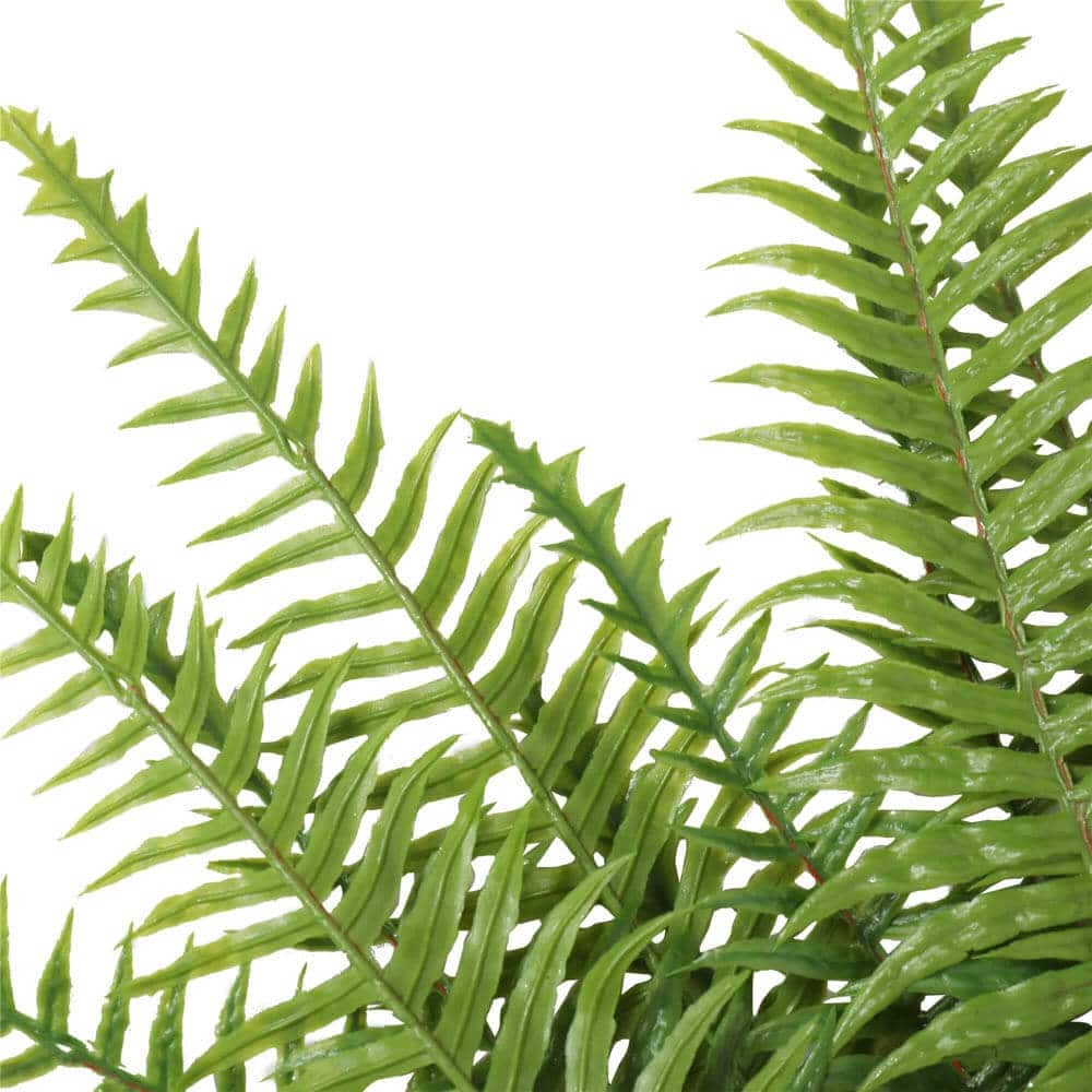 Lady Fern Stem (UV Resistant) 50cm