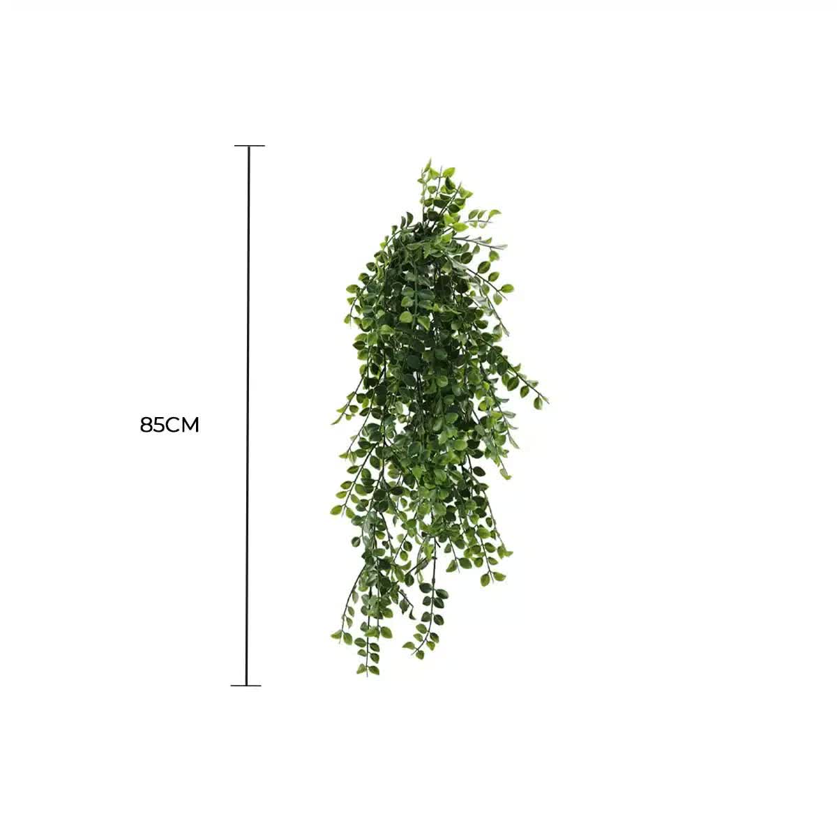 Hanging Pearls Plant (UV Resistant) 80cm