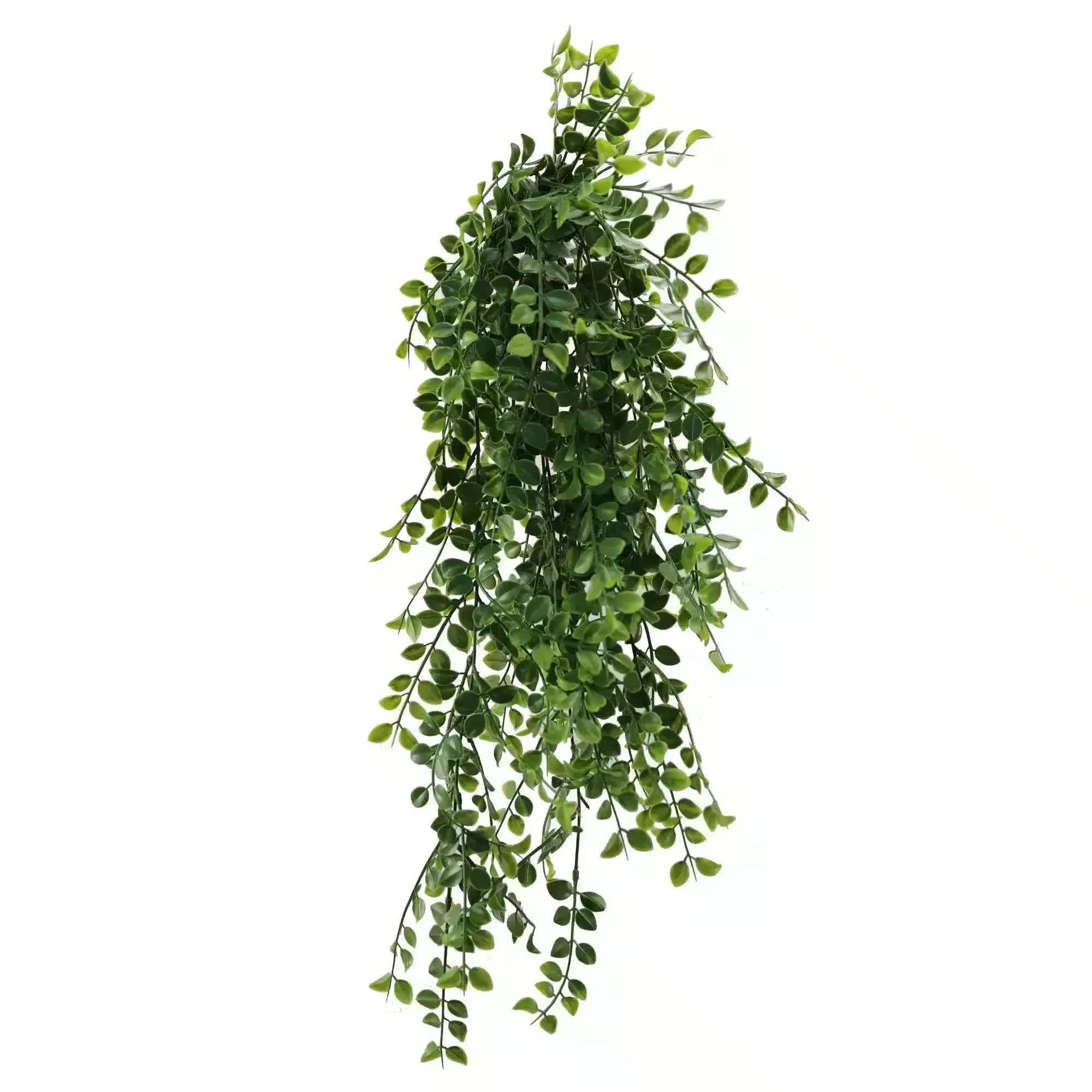 Hanging Pearls Plant (UV Resistant) 80cm