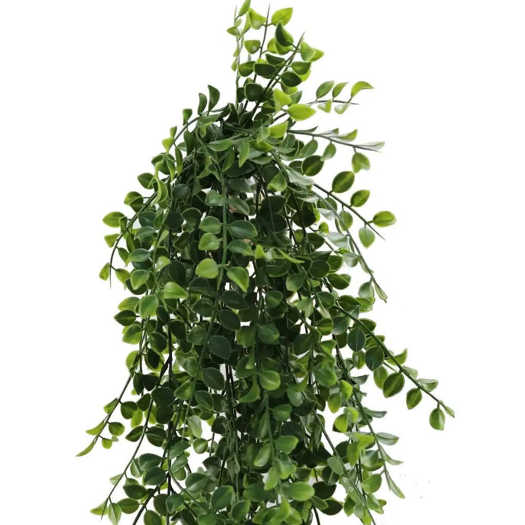 Hanging Pearls Plant (UV Resistant) 80cm