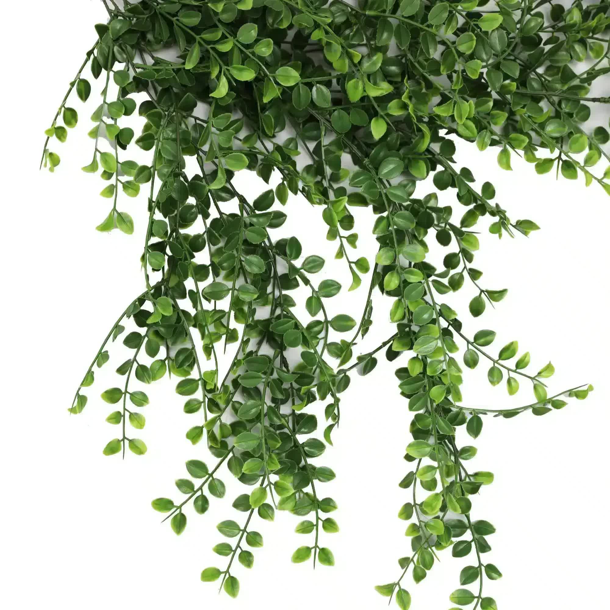 Hanging Pearls Plant (UV Resistant) 80cm