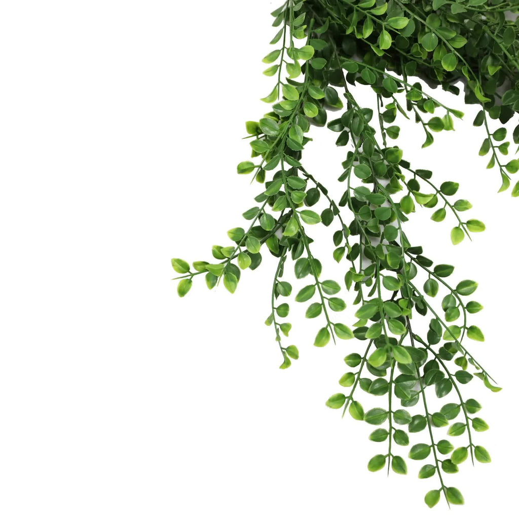 Hanging Pearls Plant (UV Resistant) 80cm