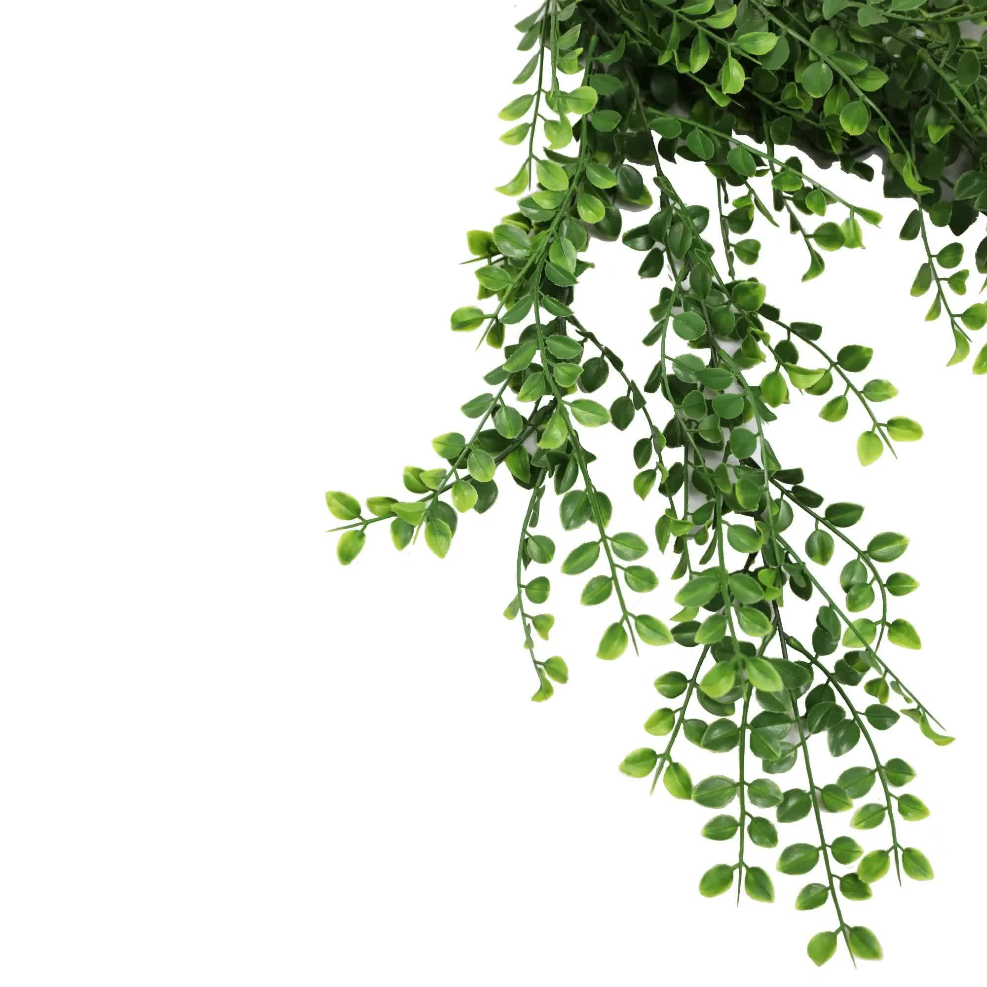 Hanging Pearls Plant (UV Resistant) 80cm
