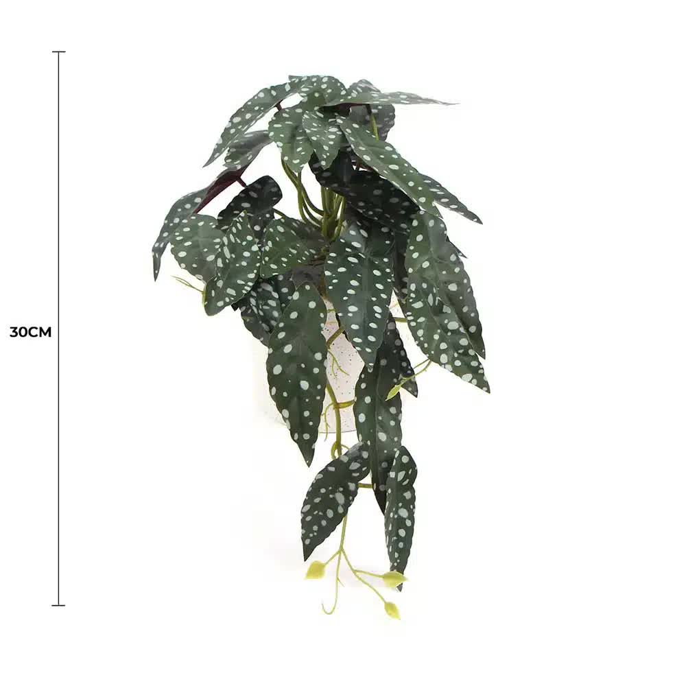 Artificial Begonia Maculata plant in a decorative bowl, faux greenery for home or garden decor, 30cm tall by Faux Flora.