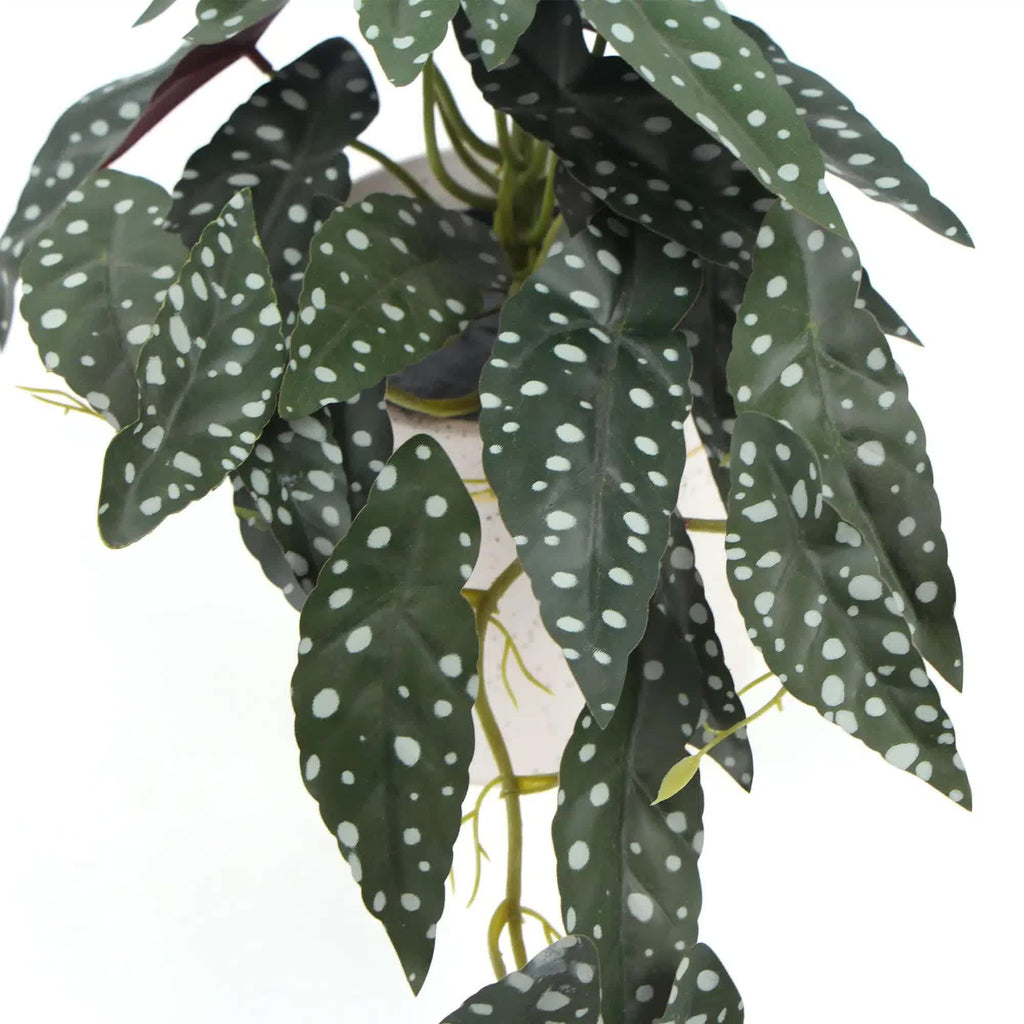 Artificial Begonia Maculata plant in decorative bowl, faux flora 30cm potted plant for home and garden decor.